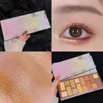 MYHO CALIFORNIA SUNSET 16 COLOR EYESHADOW TRAY (Classic Pink Bown) 22g