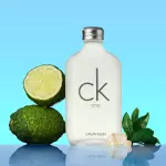 Calvin Klein CK One Eau de Toilette (100ml)